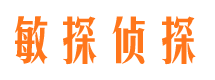 莱山敏探私家侦探公司